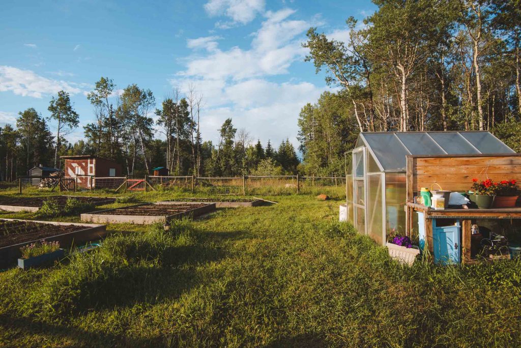 the vegetable garden on the ranch