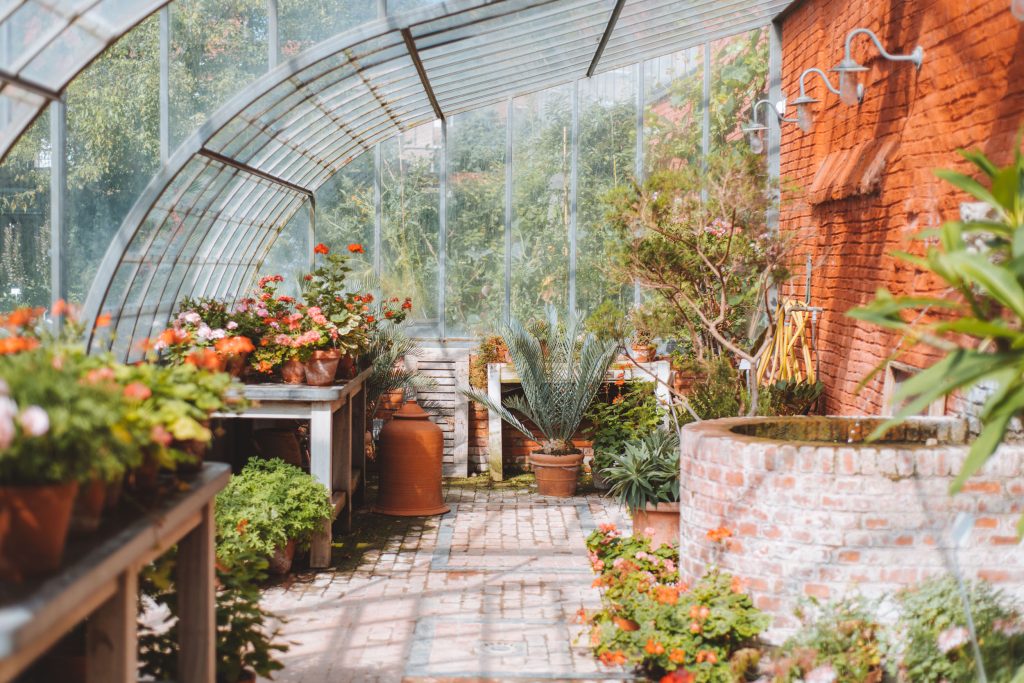 inside the greenhouse in the kruidtuin in leuven