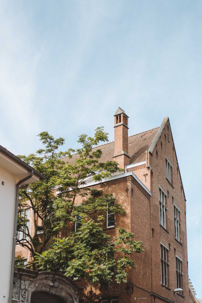 old brick house with a tree growing in front