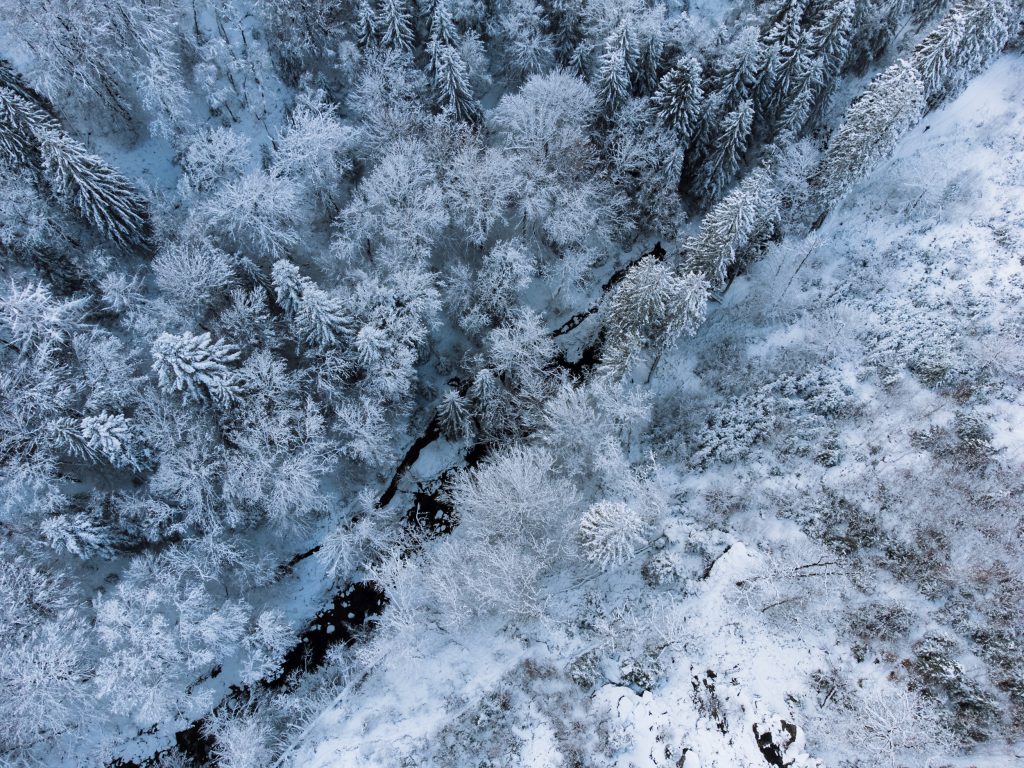 view from above of snowy trees with the river across shot with dji mini 2