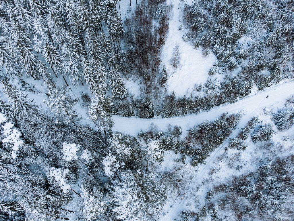 view from above of snowy trees in the hoëgne valley shot with dji mini 2