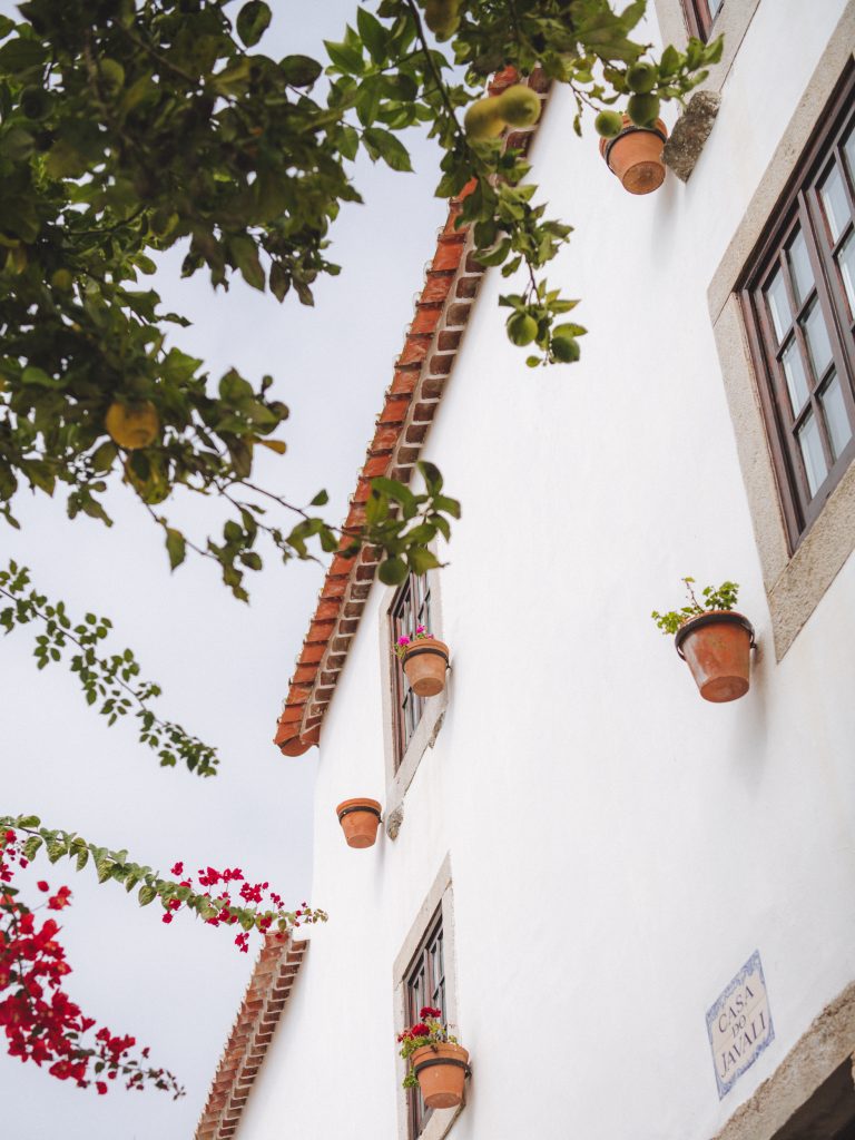 looking up at a house facade with hanging pots with plants