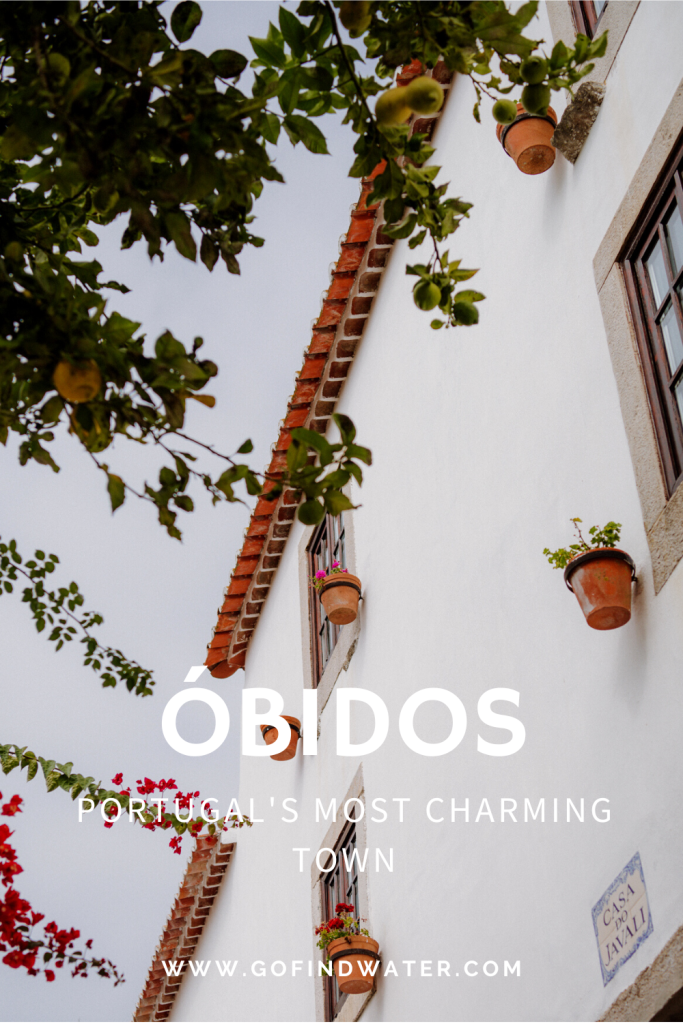 pinterest share image of obidos