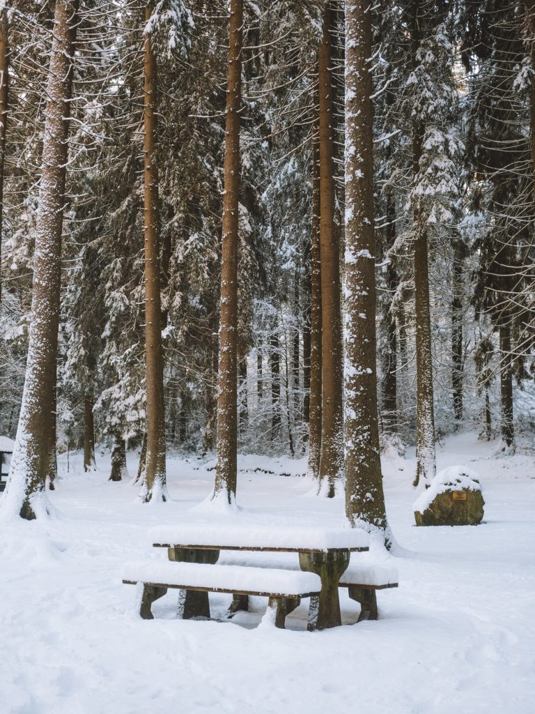 picnic bench and table covered in a thick layer of snow with trees in the background