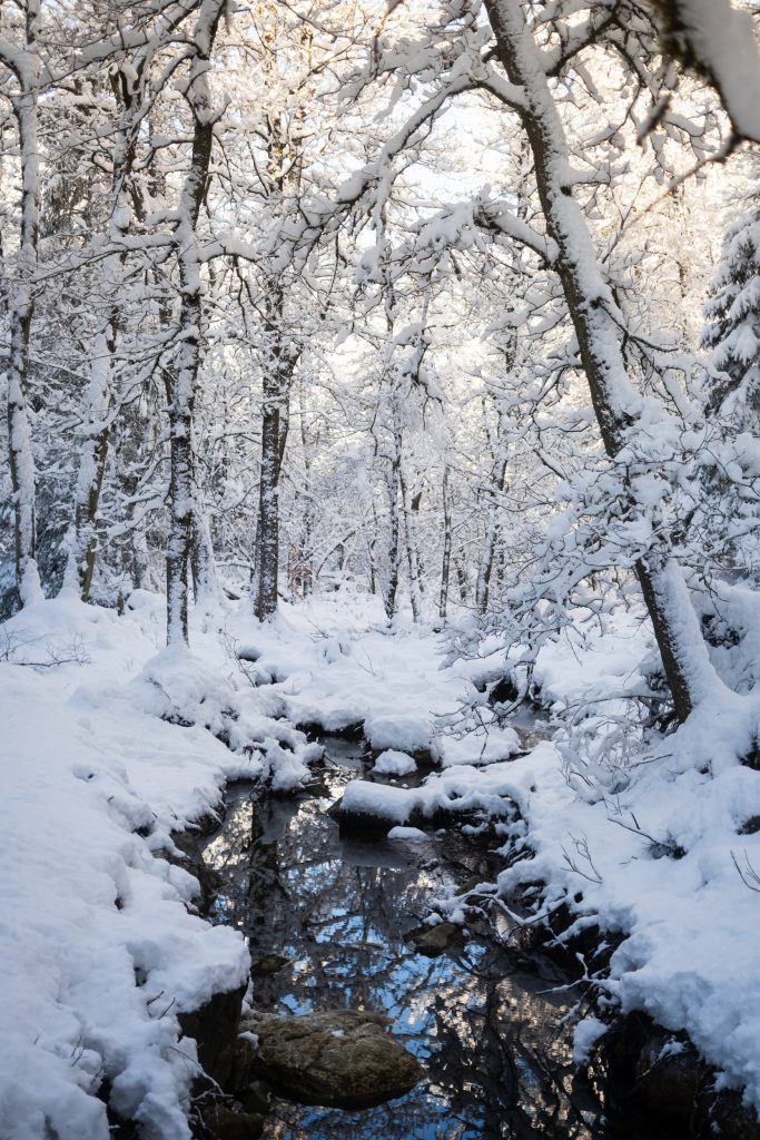 small river in a snow landscape in the hoëgne valley