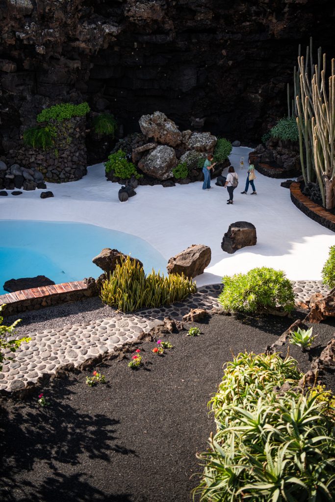 garden in jameos del aqua in lanzarote