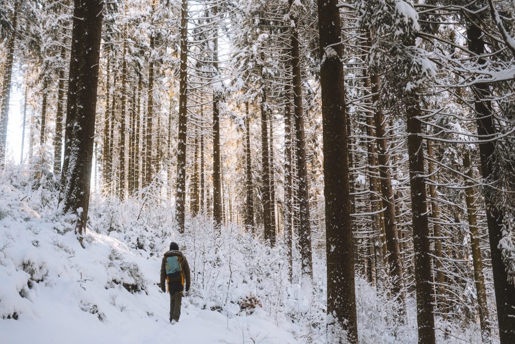 florian hiking in the snow between snowy trees in the ardennes