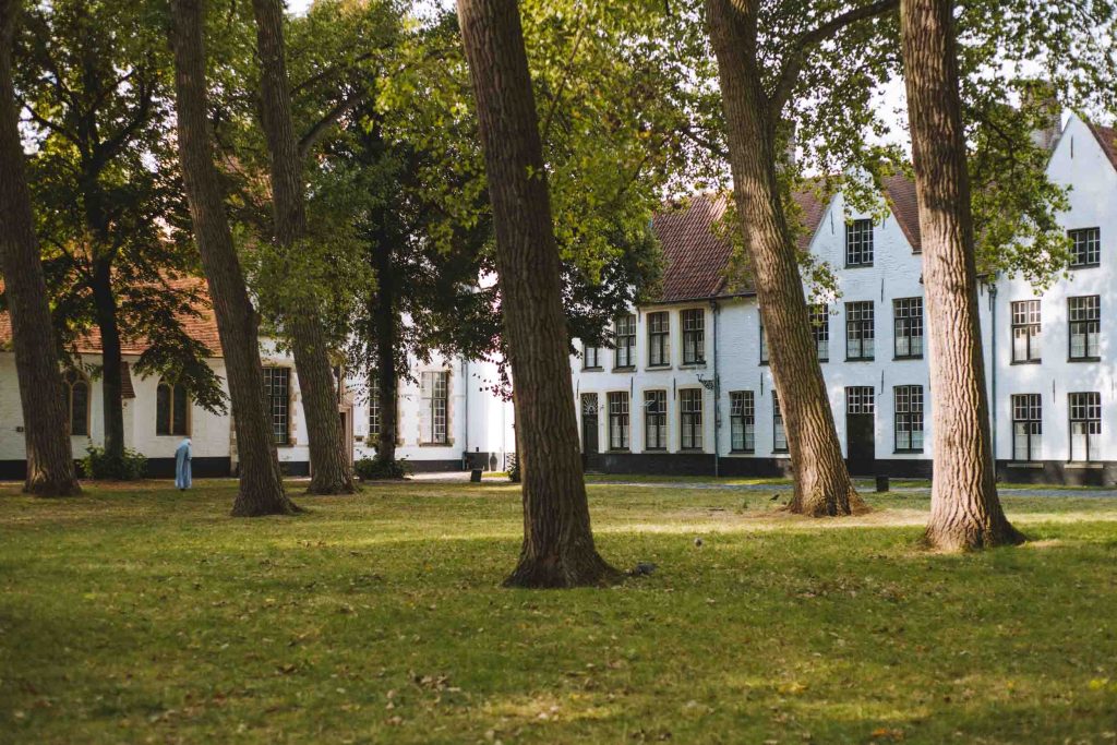 the white-washed houses and a lawn with trees of the beguinage of bruges