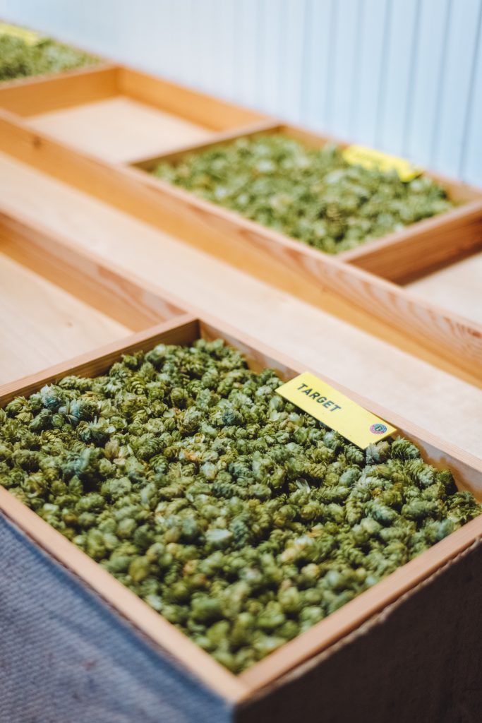 a specific kind of dried hop