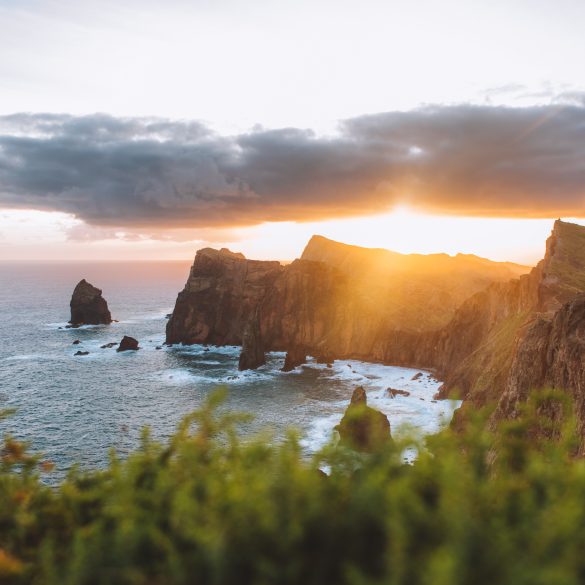 view of cliffs of madeira with grass in the foreground