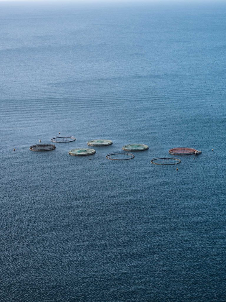 eight round fishing nets in the ocean in madeira