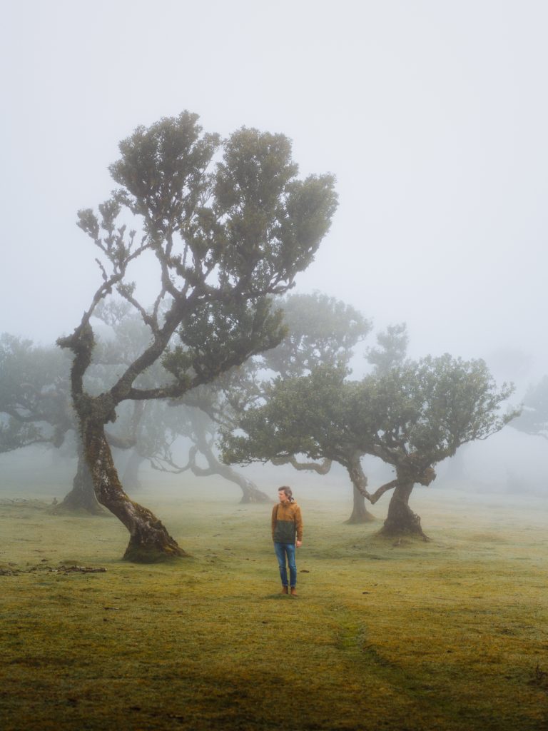 florian standing between the trees in fanal forest with mist in the background