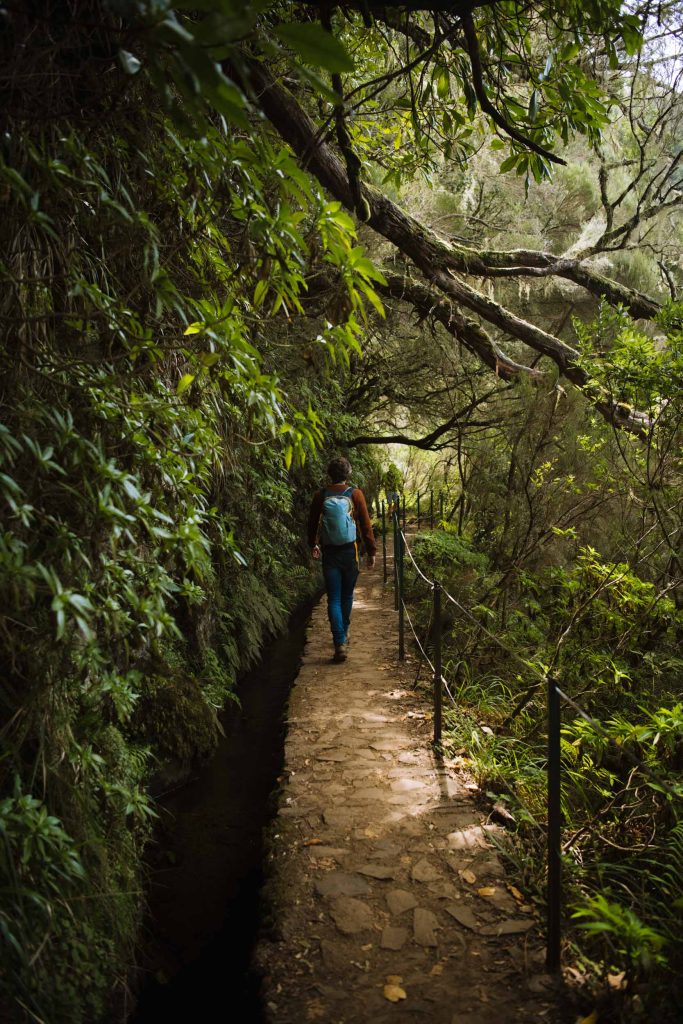 florian walking next to a water stream surrounded by green trees