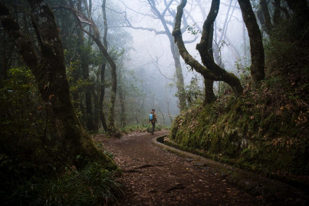 florian walking on a levada trail in the woods with fog