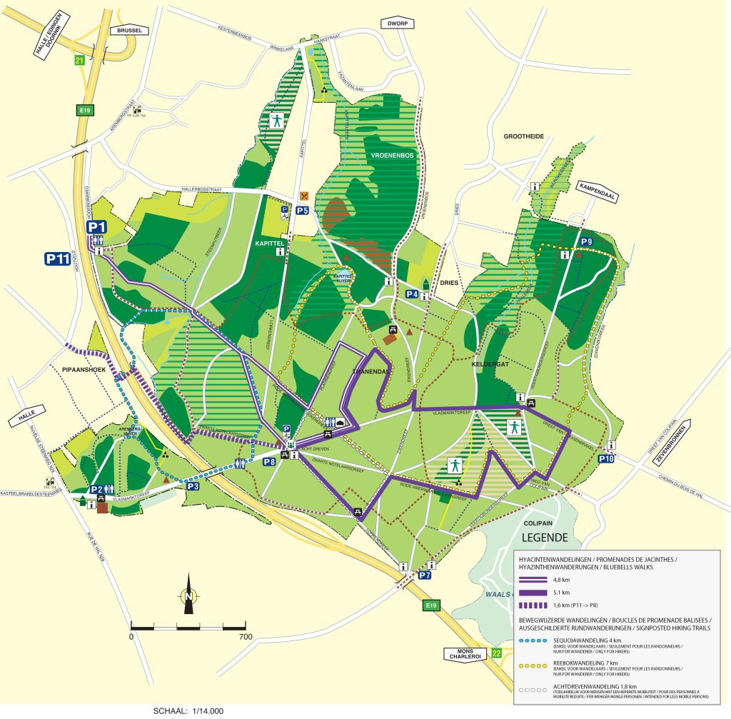 map with walking trails in the hallerbos for best viewing of the bluebells in the season