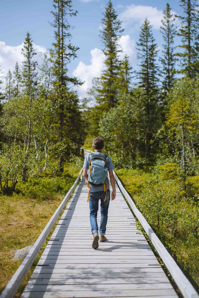 florian walking on a wooden boardwalk in Fulufjällets national park in sweden