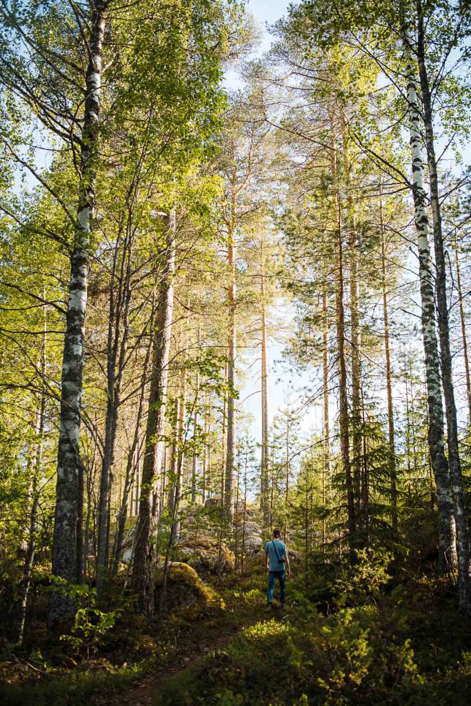 florian walking in the forest in sweden