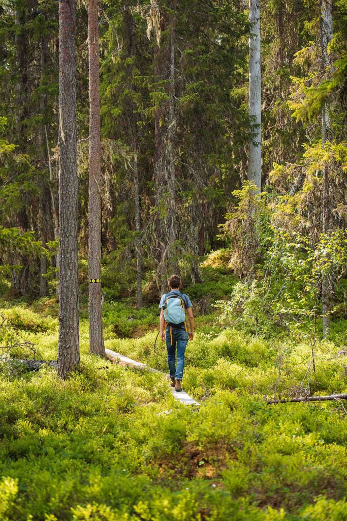 florian walking on a small wooden path in hamra national park in sweden