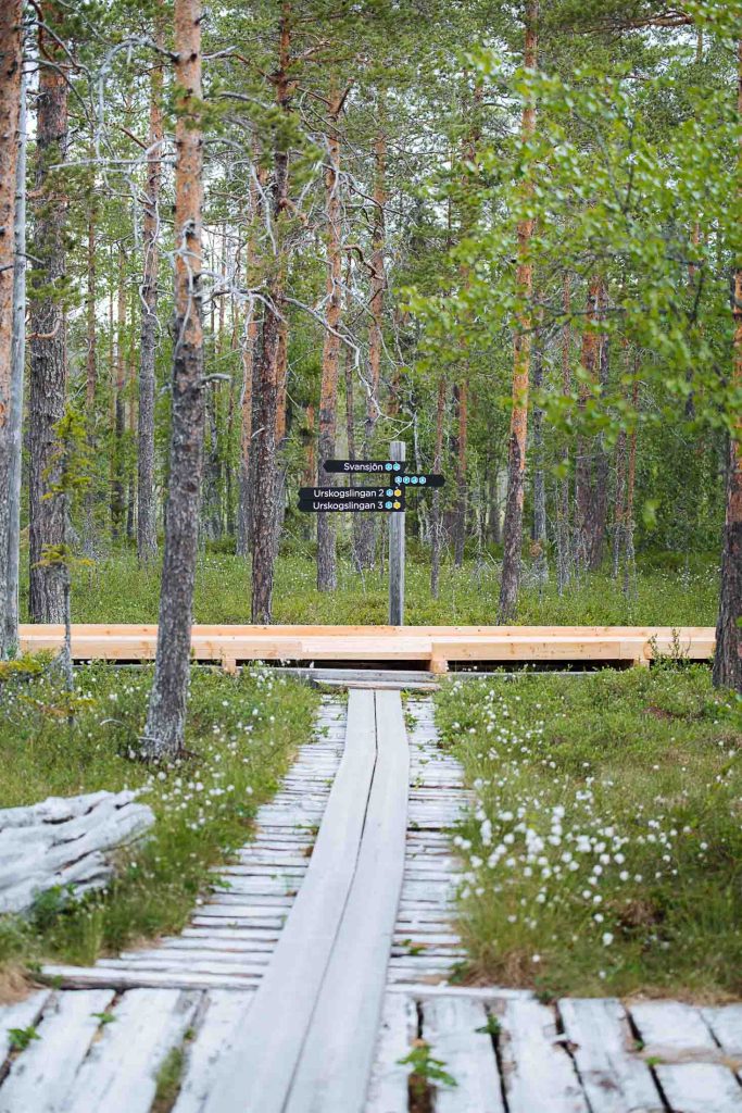 wooden signs in hamra national park along the trail