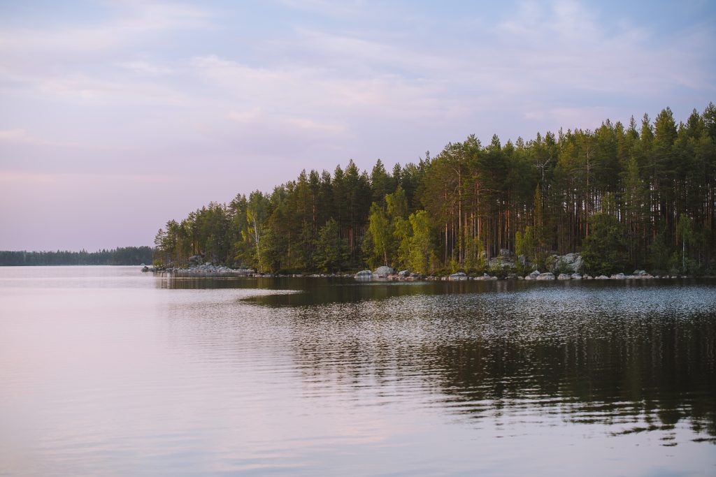 pink skies behind an island of trees in a big lake in sweden